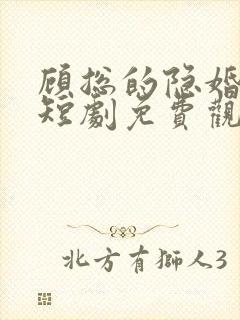 顾总的隐婚罪妻短剧免费观看封面