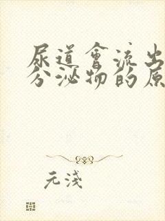 尿道会流出白色分泌物的原因