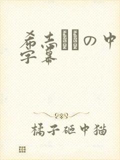希志あいの中文字幕