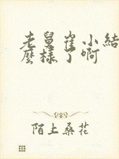 老舅崔小结局怎么样了啊