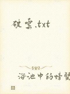 破云.txt封面