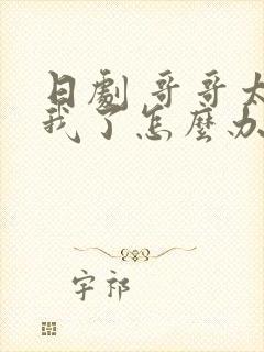 日剧 哥哥太爱我了怎么办封面