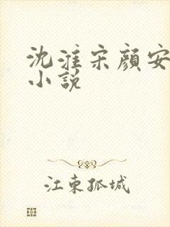 沈淮宋颜安欢的小说