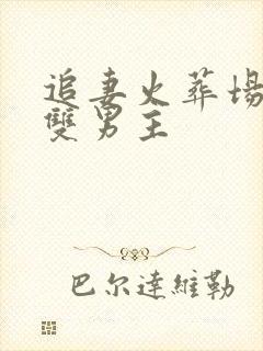 追妻火葬场生子双男主