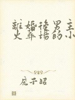 离婚后男主追妻火葬场的小说