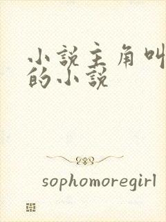 小说主角叫叶观的小说