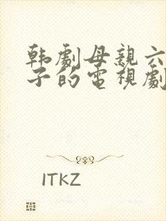 韩剧母亲六个孩子的电视剧封面