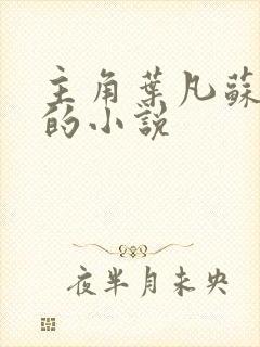 主角叶凡苏若雪的小说封面