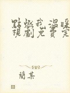 点燃我温暖你电视剧免费完整版观看影视大全