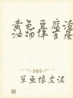 黄色豆腐渣样分泌物伴有瘙痒