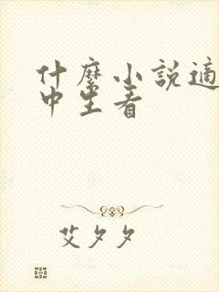 什么小说适合初中生看封面