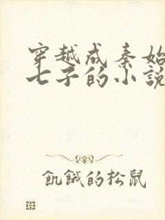 穿越成秦始皇十七子的小说