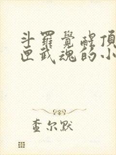 斗罗觉醒顶级剑匣武魂的小说