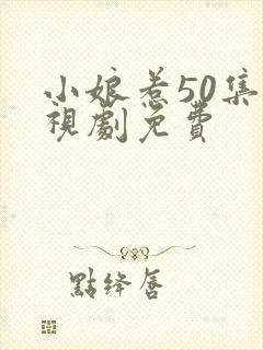 小娘惹50集电视剧免费