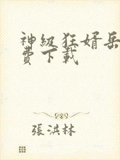 神级狂婿岳风免费下载