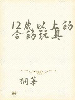 12岁以上的适合的玩具