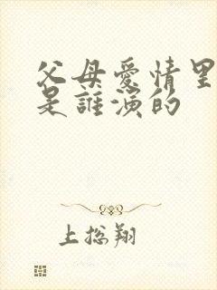 父母爱情里安欣是谁演的