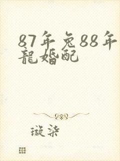 87年兔88年龙婚配