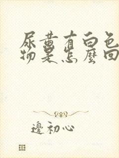 尿黄有白色沉淀物是怎么回事