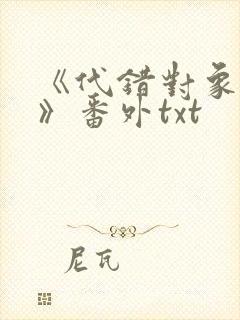 《代错对象之后》番外txt封面