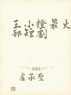 王小橙最火的十部短剧