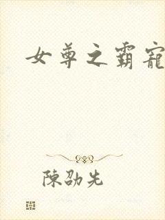 女尊之霸宠夫郎