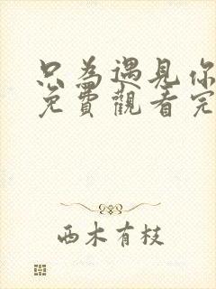 只为遇见你全集免费观看完整版