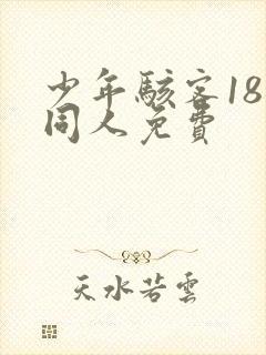 少年骇客18禁同人免费