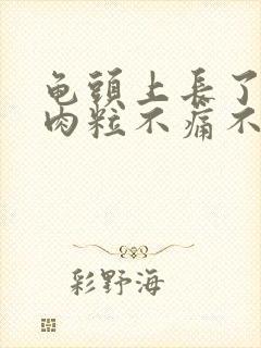 龟头上长了一个肉粒不痛不痒