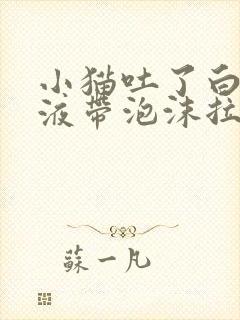 小猫吐了白色粘液带泡沫拉稀