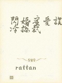 闪婚蜜爱误嫁高冷总裁封面