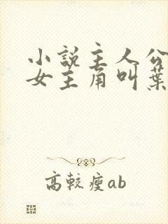 小说主人公林凡女主角叫叶惜