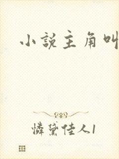 小说主角叫王林