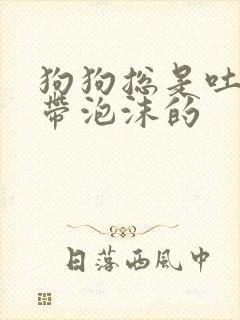 狗狗总是吐黄水带泡沫的