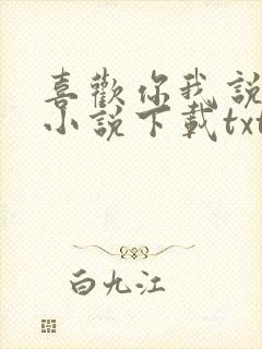 喜欢你我说了算小说下载txt封面