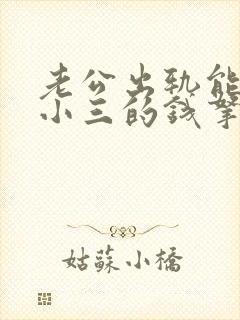 老公出轨能把给小三的钱拿回来吗