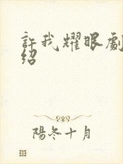 许我耀眼剧情介绍