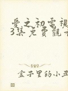 爱之初电视剧43集免费观看封面