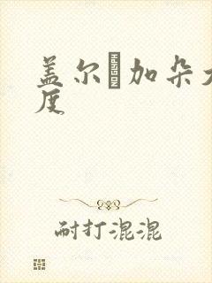 盖尔·加朵大尺度