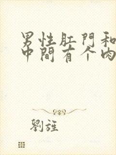 男性肛门和睾丸中间有个肉疙瘩疼