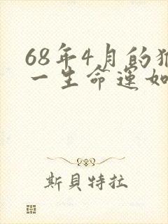 68年4月的猴一生命运如何