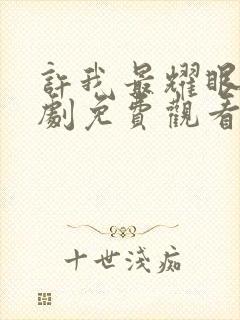 许我最耀眼电视剧免费观看高清封面