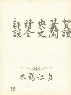 许靖央萧贺夜小说全文阅读最新章节