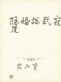 隐婚总裁宠妻无度