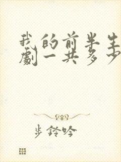 我的前半生电视剧一共多少集