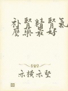 补肾精肾气吃什么药最好