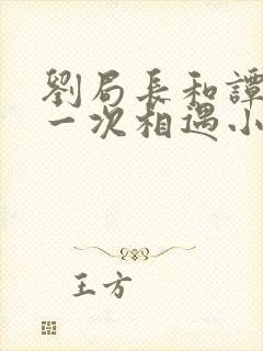 刘局长和谭靖第一次相遇小说封面