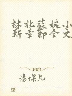 林北苏婉小说最新章节全文阅读