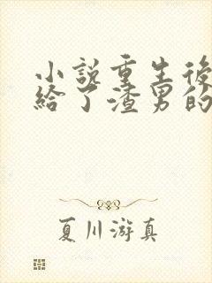 小说重生后我嫁给了渣男的死对头封面