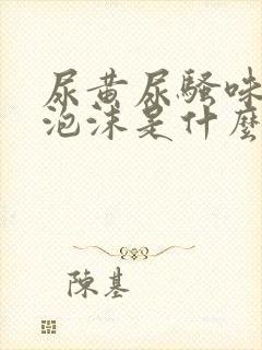 尿黄尿骚味重有泡沫是什么原因